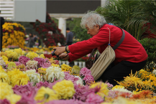 年逾古稀， “花心”依舊